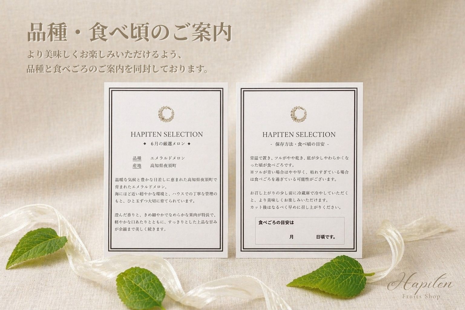 【フルーツのサブスク】厳選メロン定期便｜月に一度の贅沢　<配送先：本州・四国・九州>