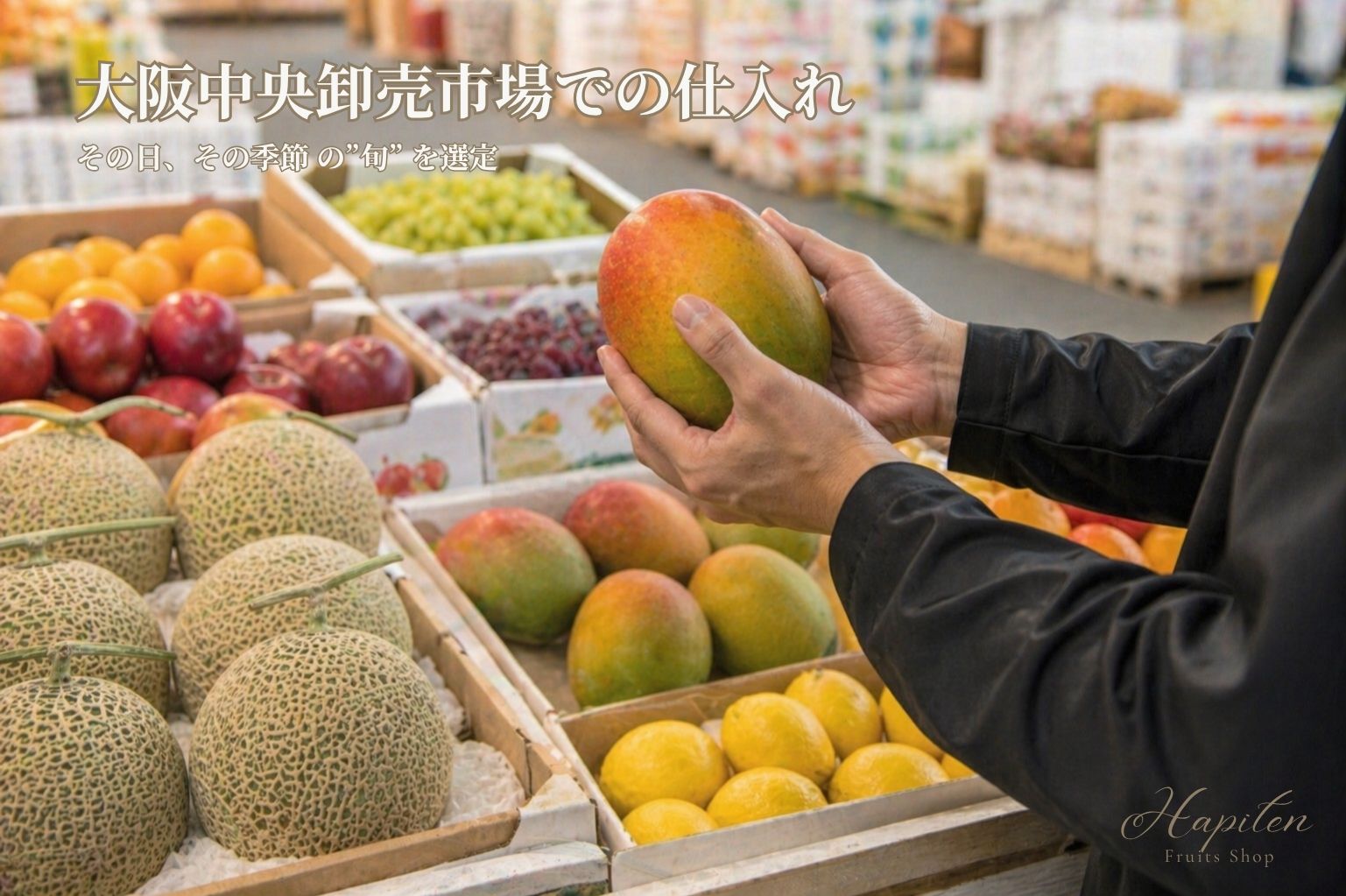 【フルーツのサブスク】旬のフルーツ定期便｜市場厳選 果物アソート　<配送先：本州・四国・九州>