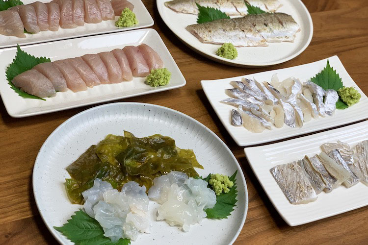 【刺身のサブスク】南紀白浜のとれたての魚をお造りで！CAS凍結で毎月届く定期便（2020年10月）