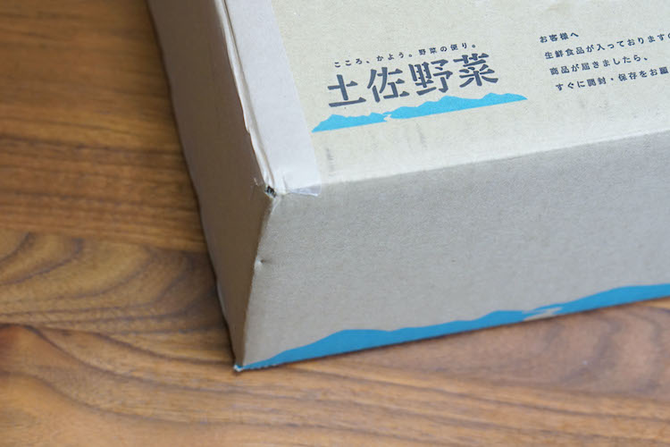【野菜のサブスク】旬の土佐野菜の詰め合せが毎月届く、野菜の定期便 (2021年8月)