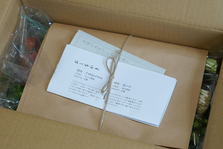 【野菜のサブスク】旬の土佐野菜の詰め合せが毎月届く、野菜の定期便 (2021年8月)