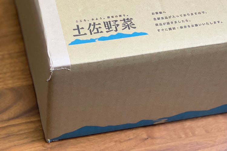 【野菜のサブスク】旬の土佐野菜の詰め合せが毎月届く、野菜の定期便 (2021年11月)