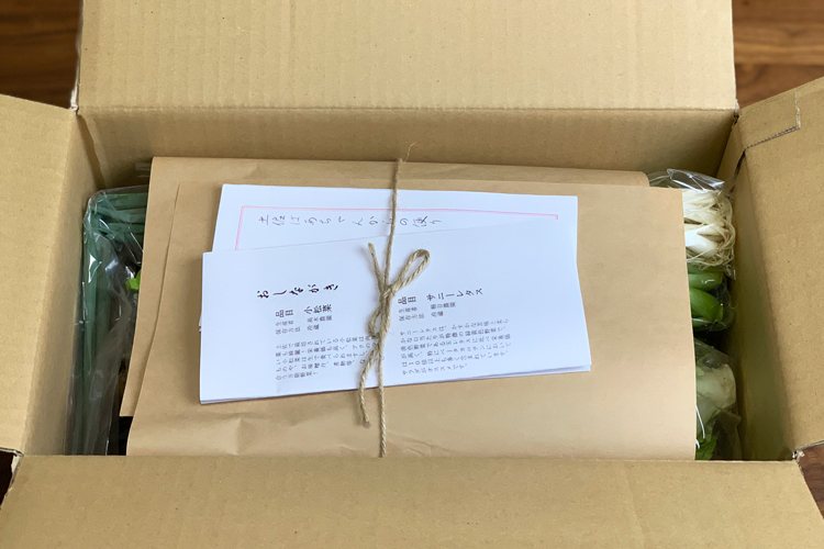 【野菜のサブスク】旬の土佐野菜の詰め合せが毎月届く、野菜の定期便 (2021年11月)