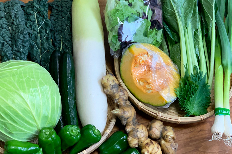 【今月は何が届いた？】クッキー缶／十勝産チーズ／旬の土佐野菜編