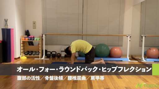 【サッカー  練習メニュー】【体幹/腰痛のコンディショニング】オール・フォー・ラウンドバック・ヒップフレクション