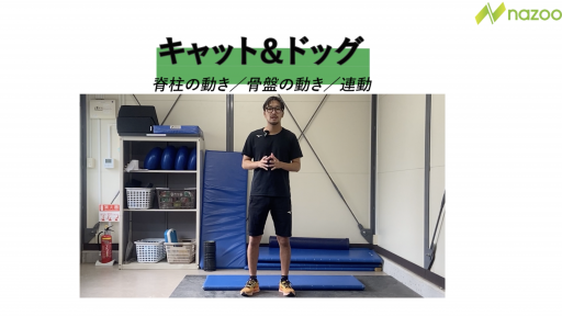 【サッカー 練習メニュー】キャット&ドッグ
