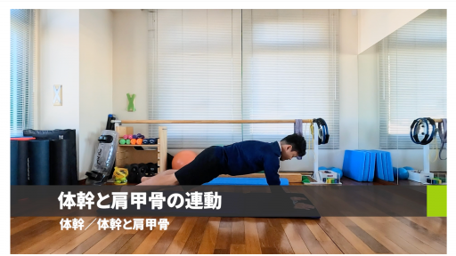 体幹と肩甲骨の連動