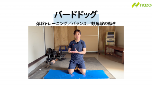 バードドッグ