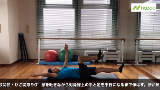 【  練習メニュー】【コアトレーニング】デッドバグ