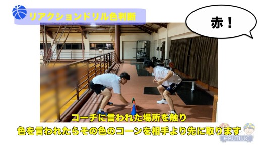 【バスケ  練習メニュー】リアクションドリル色判断