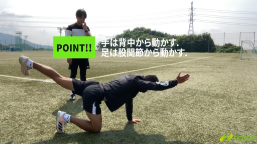【サッカー  練習メニュー】【体幹の固定と動作】バードドッグ