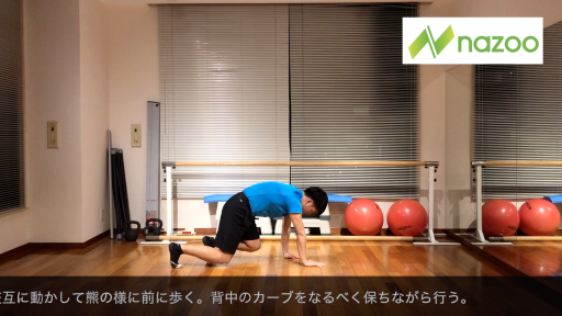 【  練習メニュー】【体幹トレーニング】ベアウォーク