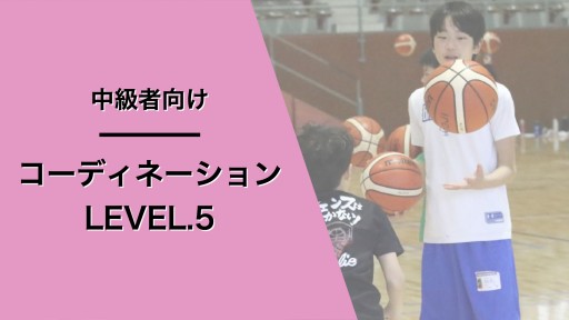 コーディネーション レベル5
