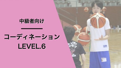 コーディネーション レベル6