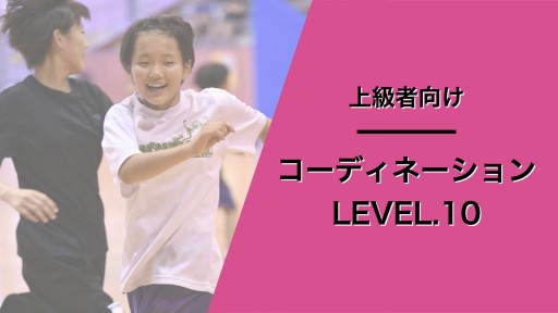 コーディネーション レベル10