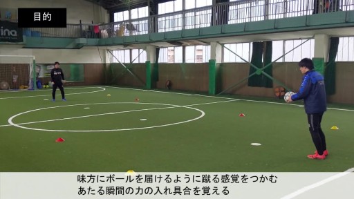 インステップキックレベル5