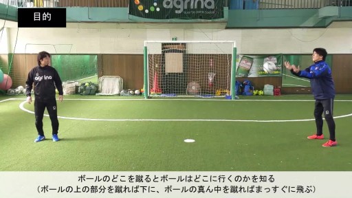 インステップキックレベル6