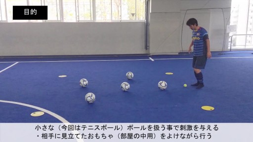 【フットサル 練習メニュー】18.1人で自宅や公園でできるドリブル練習(小さいボールで)