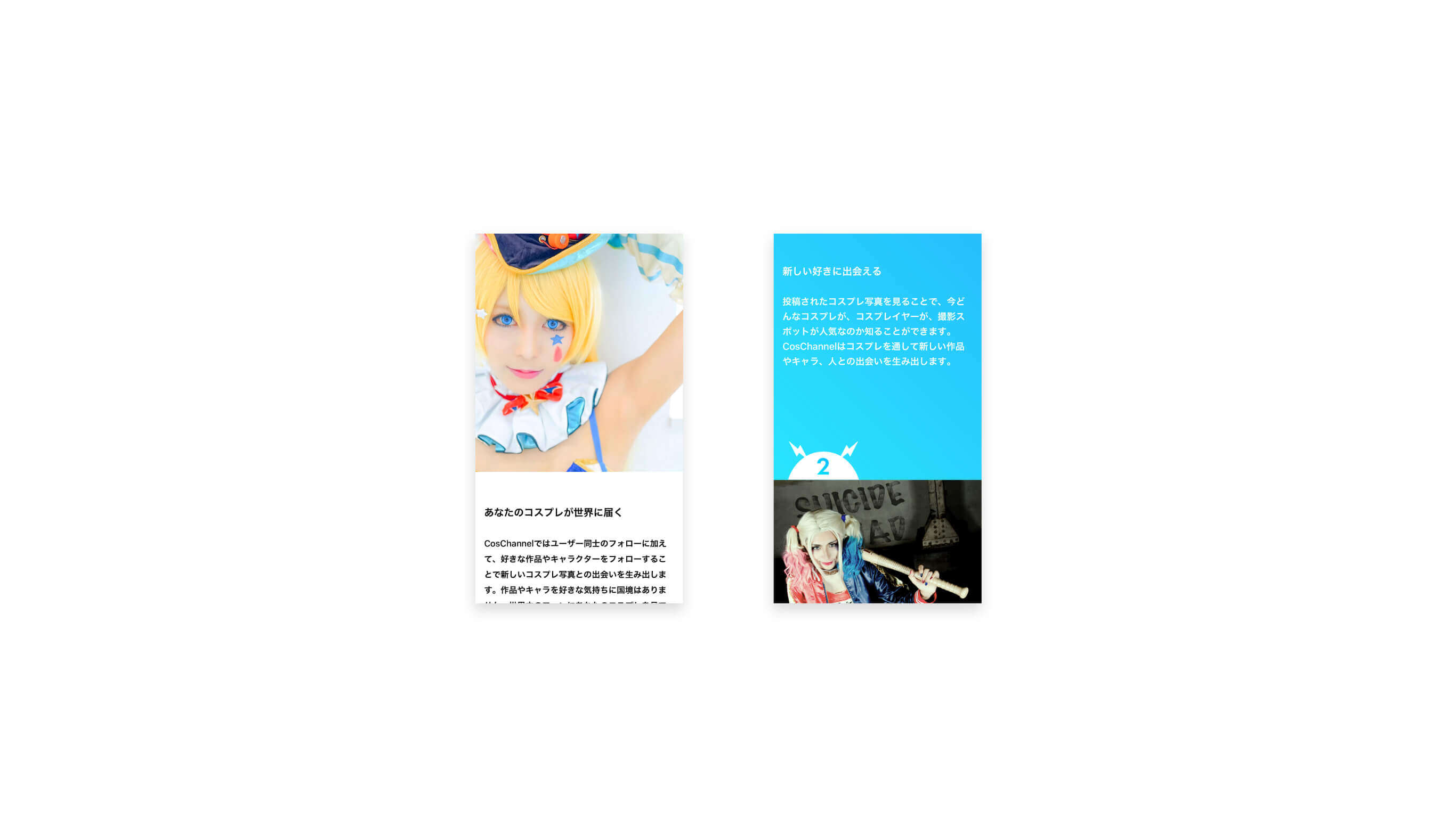 ポートフォリオ写真