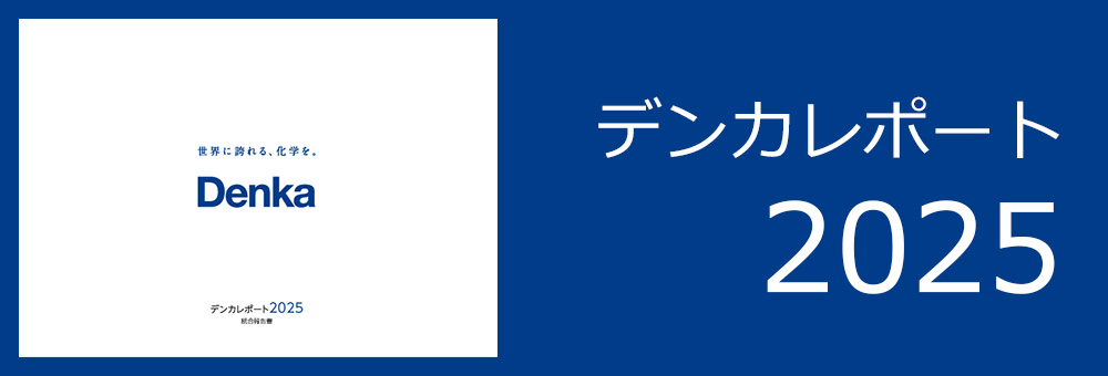 デンカレポート 2025