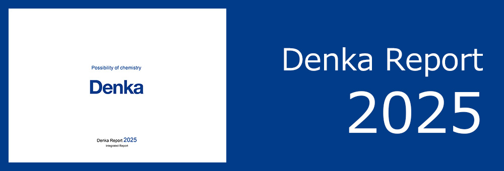 Denka Report 2025