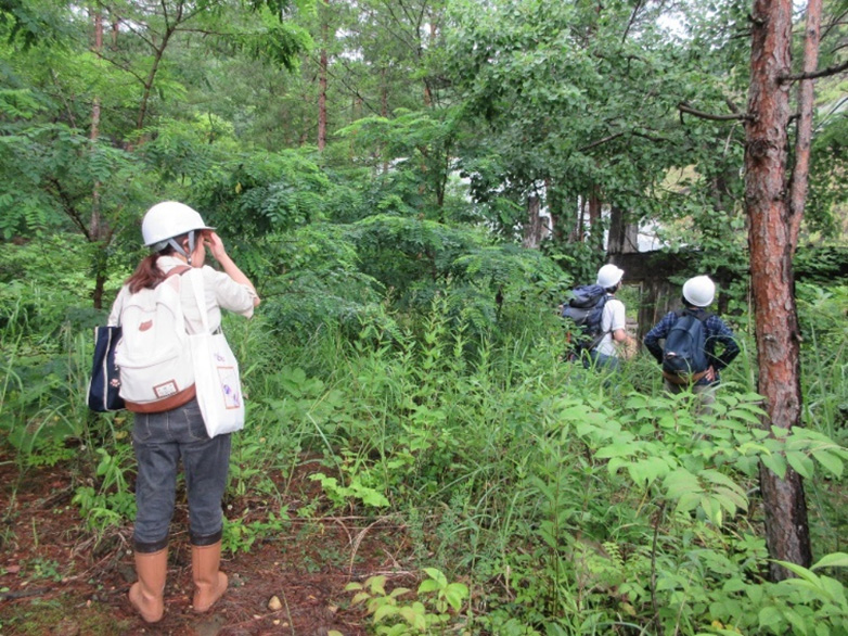 鉱山跡地での緑化調査