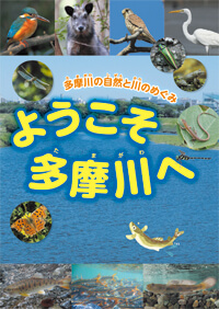 小学校向けの環境副読本「多摩川へ行こう」
