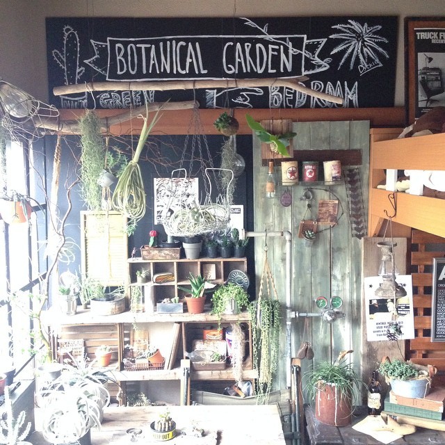 費用０円 自然の物で作る簡単diyインテリア Suvaco スバコ