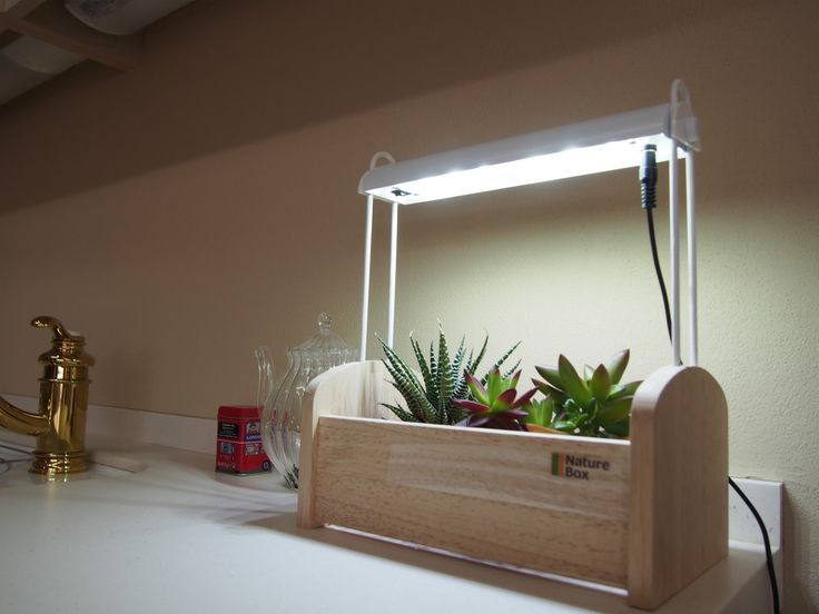 ミニプランターやポットでも楽しめる簡単かわいい家庭菜園のすすめ Suvaco スバコ