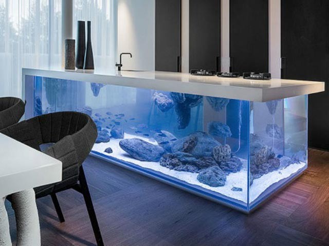 海外で人気 アクアリウム 水槽 をインテリアに取り入れよう Suvaco スバコ