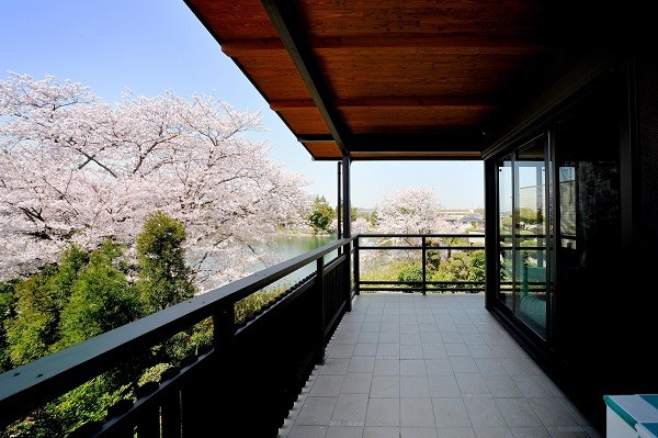わが家でお花見 桜の見える贅沢な家15選 Suvaco スバコ