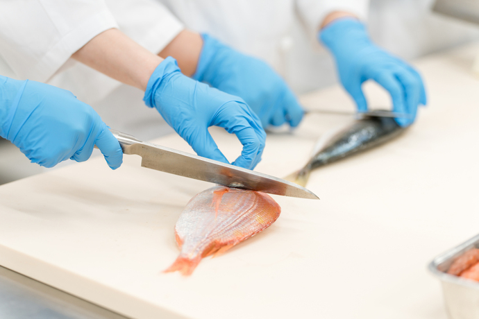 魚を衛生的な環境でカットしている手元