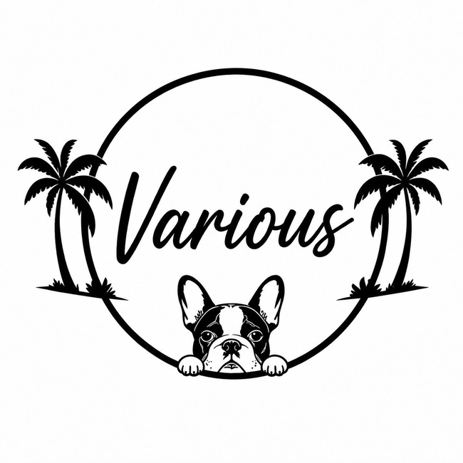 Variousの店主