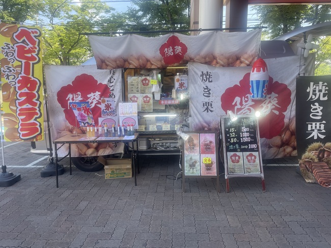 陽まり