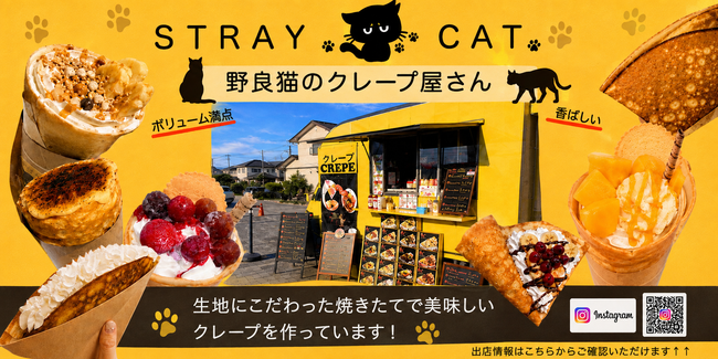 STRAY CAT