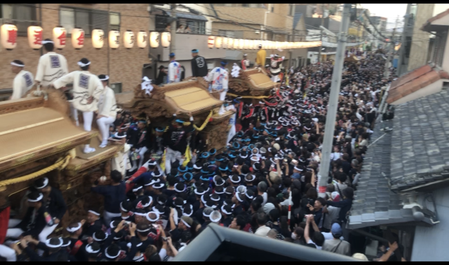 泉大津だんじり祭り