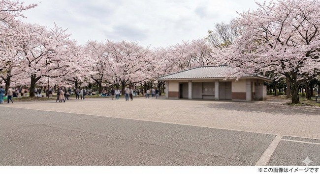 服部緑地公園　桜まつり