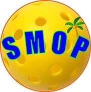 アメリカンスタイル オープンプレイ ピックルボール