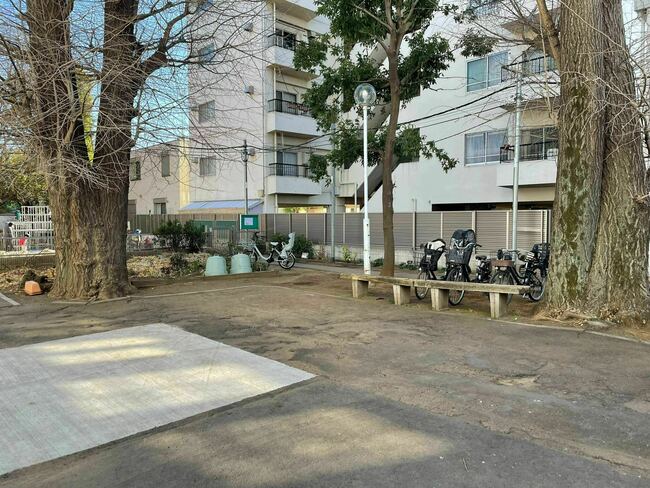 草苑保育専門学校【目白庭園ライトアップ来場者向け】