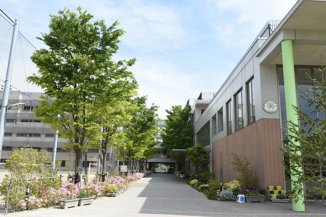 2026日出祭