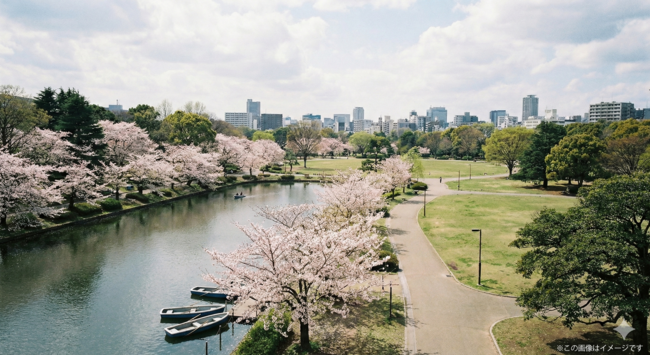 千葉公園　平日