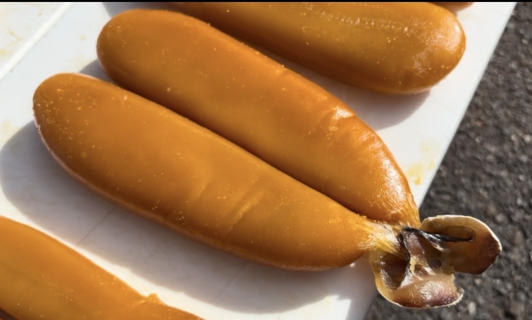 自家製カラスミ