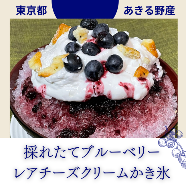 レアチーズブルーベリーかき氷