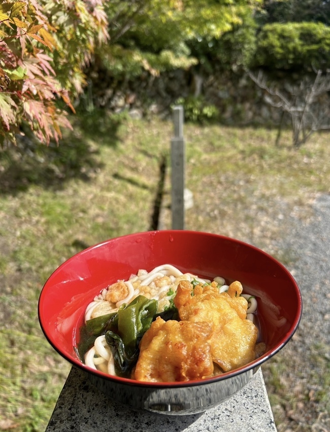 鯛出汁とり天うどん、鯛出汁梅うどん