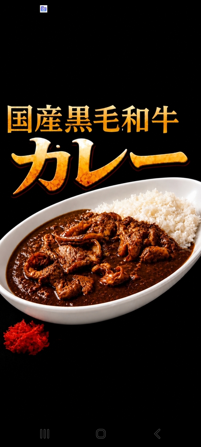 国産黒毛和牛カレー