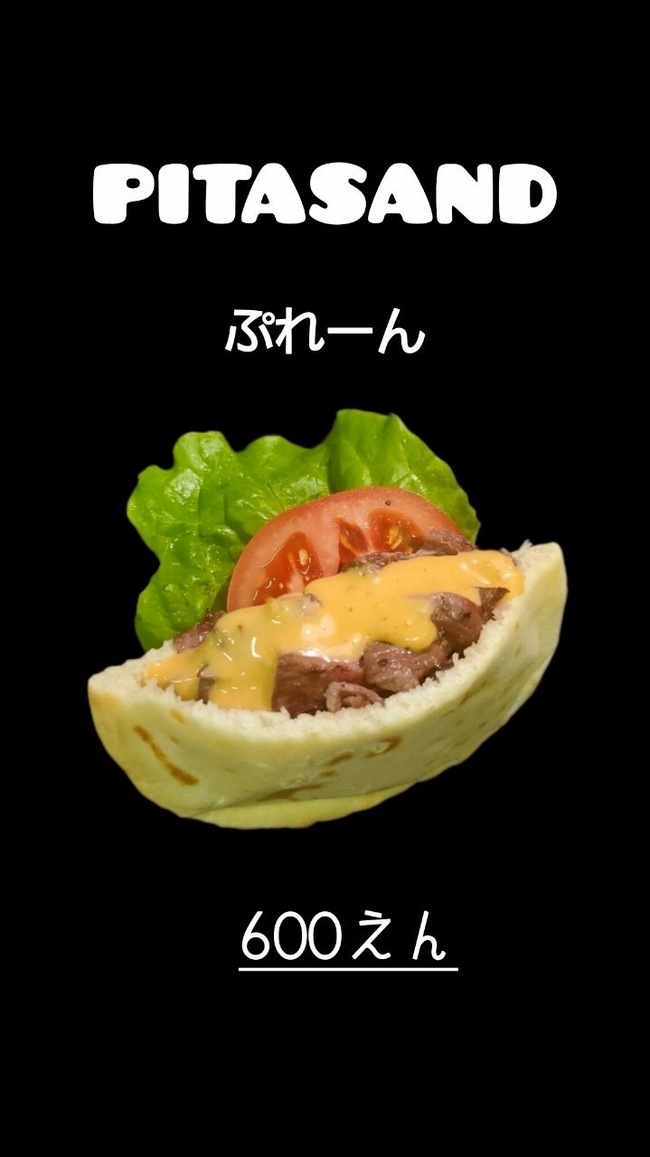 ピタパンサンドプレーン