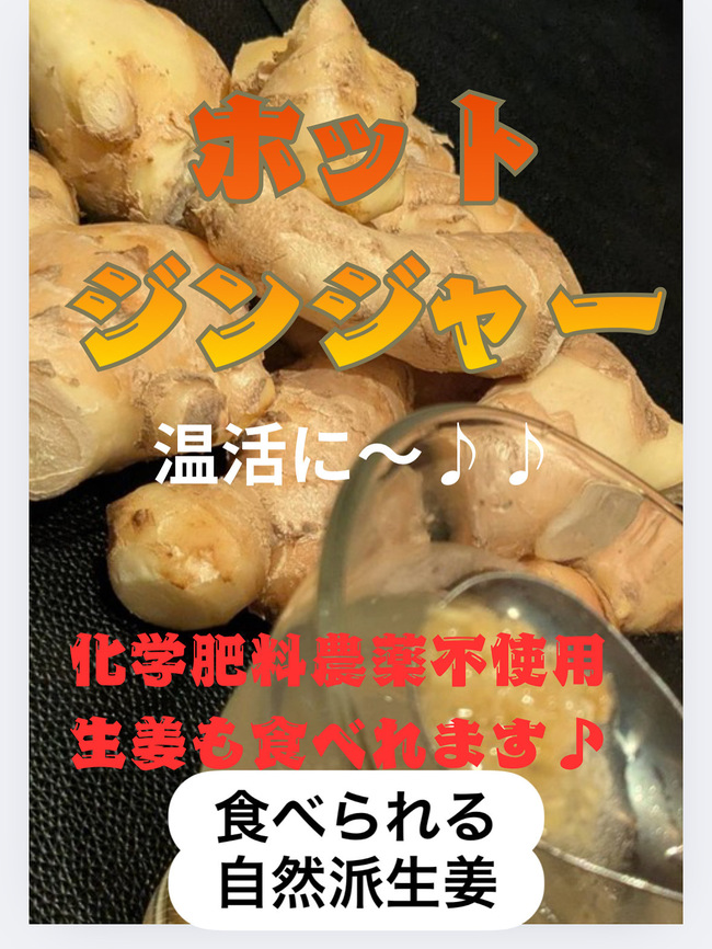 ホットジンジャー