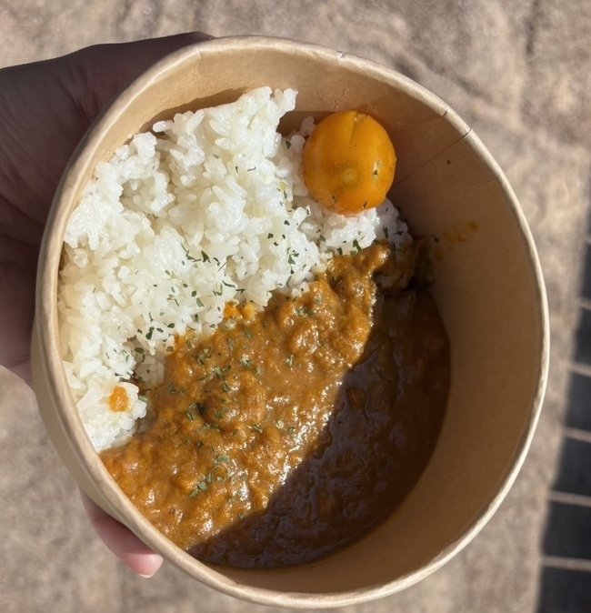 炭鯛柑珠のスパイスカレー　ノーマル