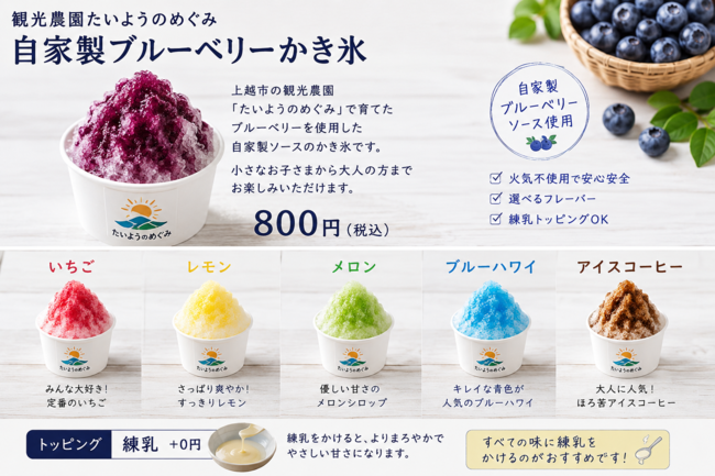 自家製ブルーベリーかき氷 （いちご・レモン・メロン・ブルーハワイ・アイスコーヒーも選択可）
