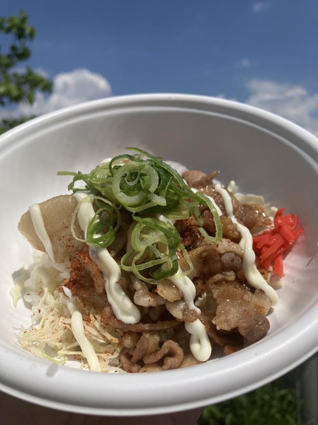 国産豚焼肉サラダ丼